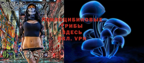 амф Алексин