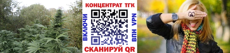 Купить где  Тюкалинск  Дистиллят ТГК Wax 